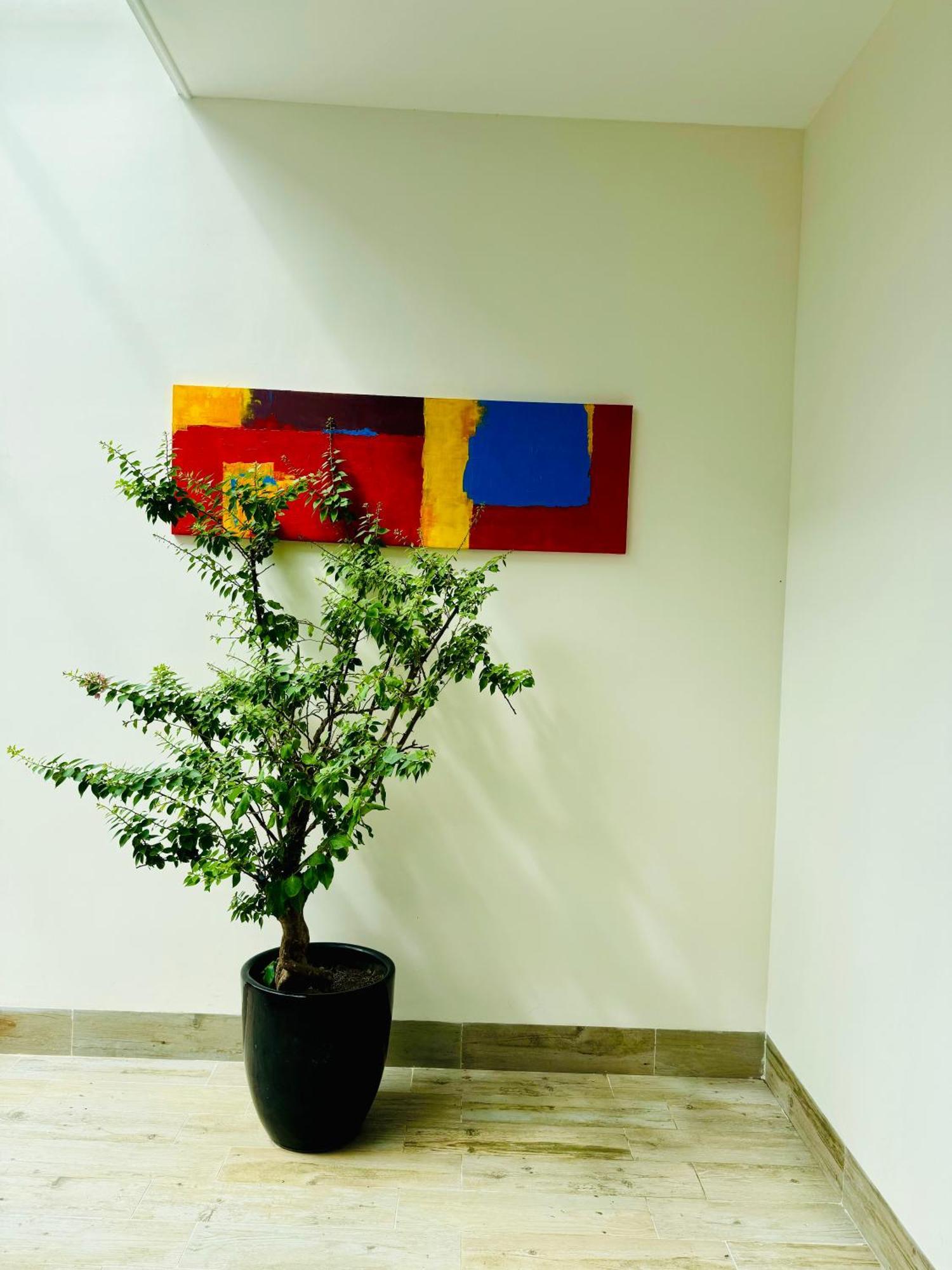 An House Hotel & Apartment 岘港 外观 照片